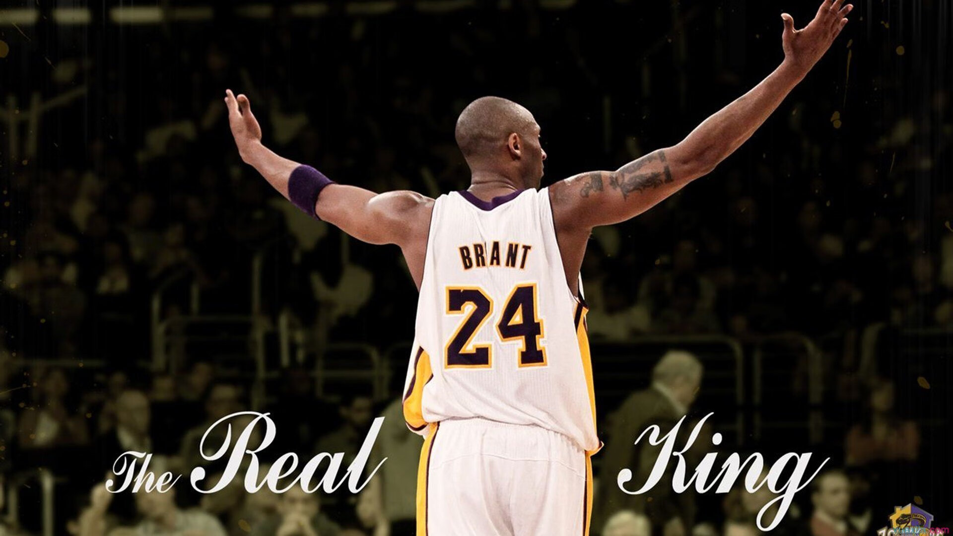 星空电竞· (中国)官方网站-墨西哥反曲弓男队在泛美锦标赛中夺冠