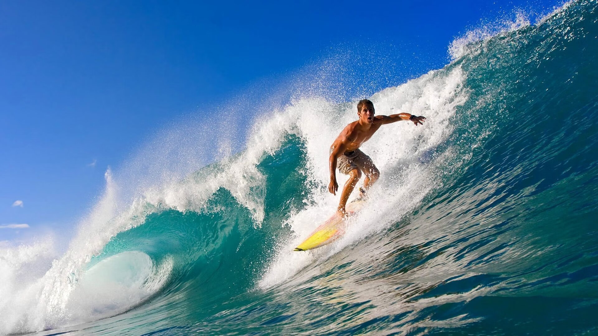 Kaiyun(中国)开云-“史上最震撼的封盖瞬间集锦”，封盖图片